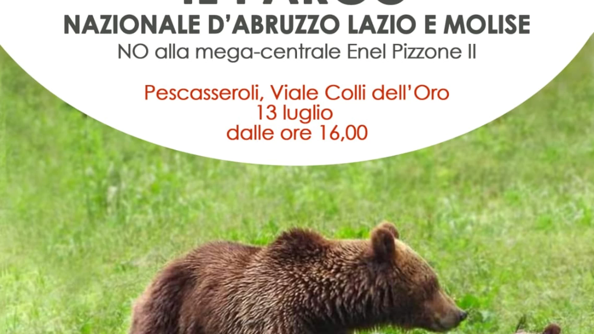 PIZZONE II, il fronte del “No” passa al contrattacco: il 13 luglio sit – in a Pescasseroli in difesa del Parco Nazionale d’Abruzzo, Lazio e Molise.
